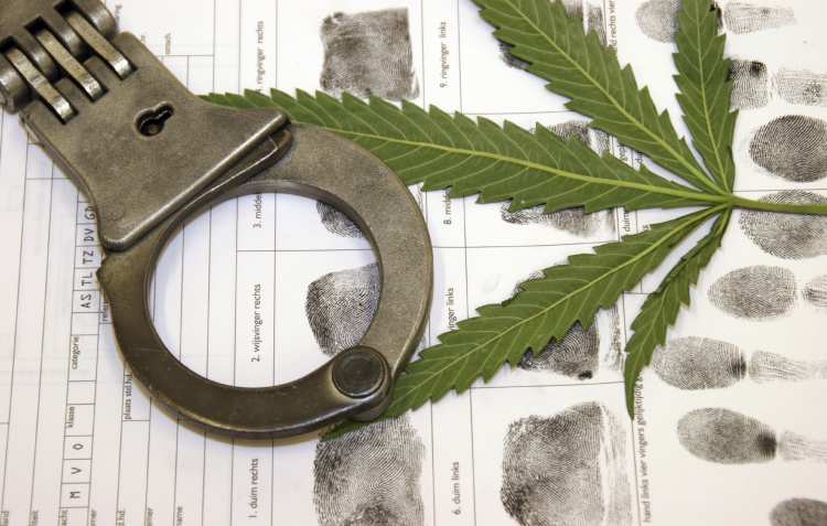 Więzienia są przepełnione przez marihuanę