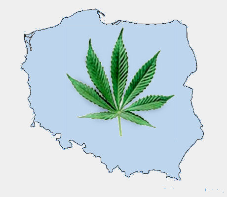 Marihuana w Polsce