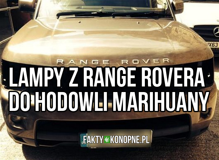 range rover lampy 1