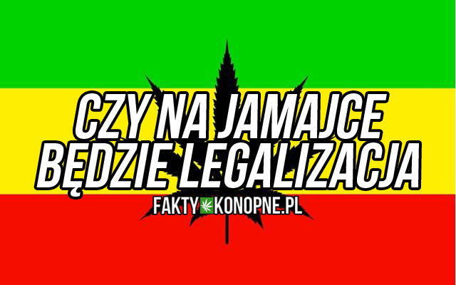 jamajka legalizacja marihuany