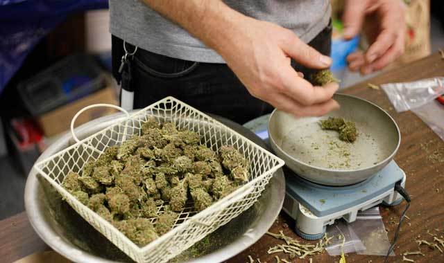 marihuana waszynton legalna legalizacja