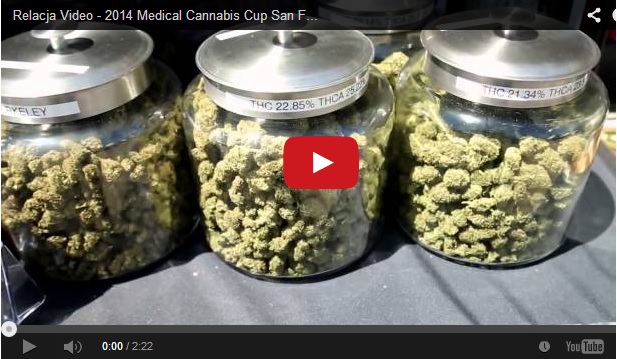 Relacja Video – 2014 Medical Cannabis Cup San Francisco