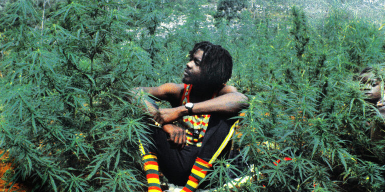 Rząd Jamajki oficjalnie potwierdził legalizacje marihuany