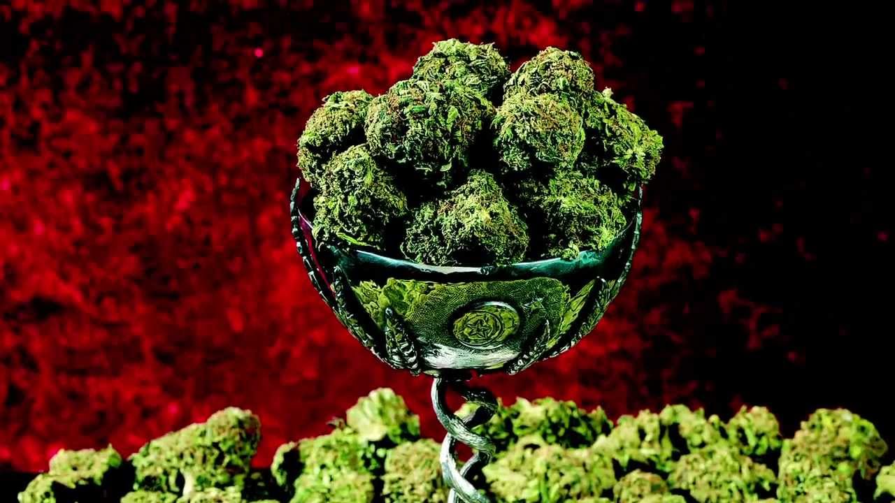 marihuana-najmocniejsze-odmiany