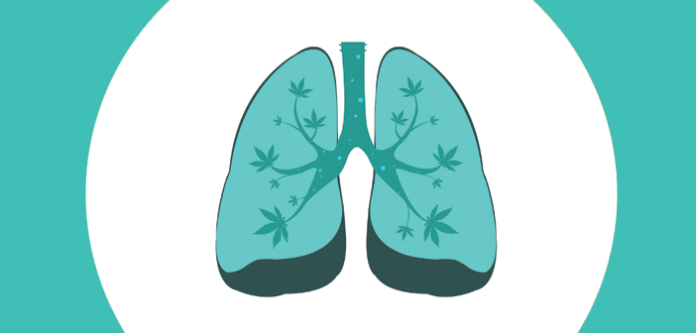 wpływ marihuany na płuca