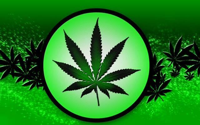 poparcie-wsparcie-legalizacja-marihuany