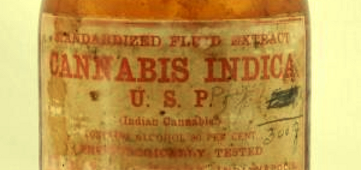 medyczna-marihuana-historia-cannabis-indica