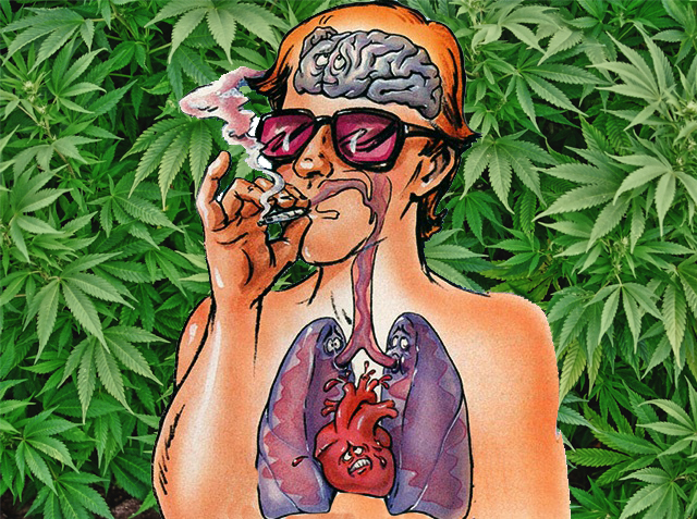 marihuana-w-organizmie
