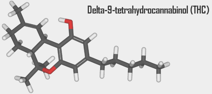 tetrahydrokannabinol-thc