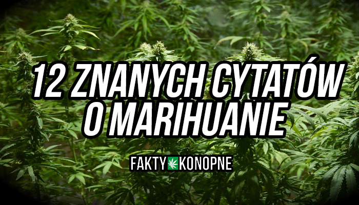 12 Znanych Cytatow O Marihuanie Faktykonopne Pl