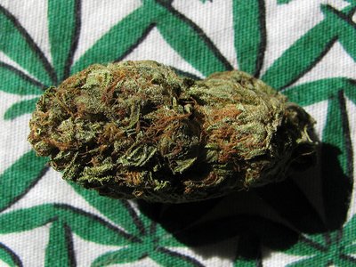 estonia-marihuana