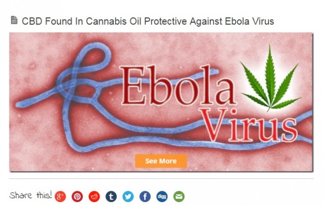 marihuana-ebola