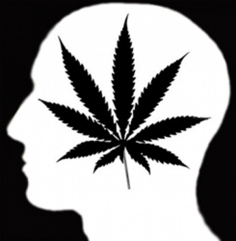 marihuana-pamiec-mozg