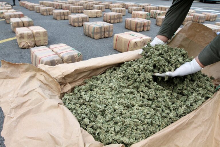 Roczne zapotrzebowanie na marihuanę w Kolorado wynosi 130 ton.