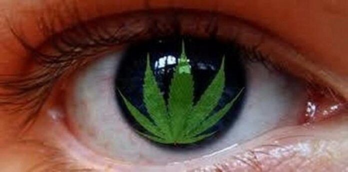 marihuana-czerwone-oczy