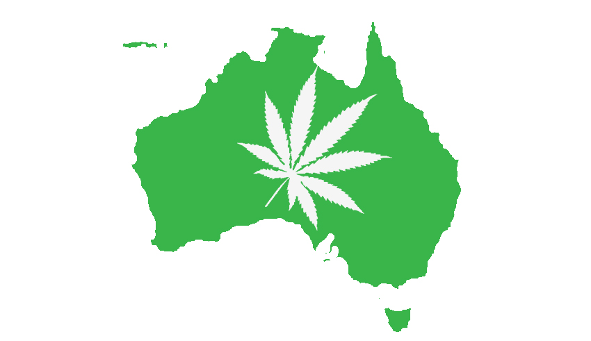 nowy-gatunek-marihuany-australia