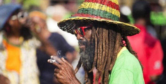 Marihuana na jamajce już jest legalna