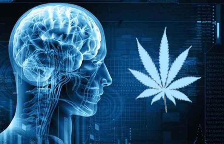 pozytywny wpływ marihuany na mózg