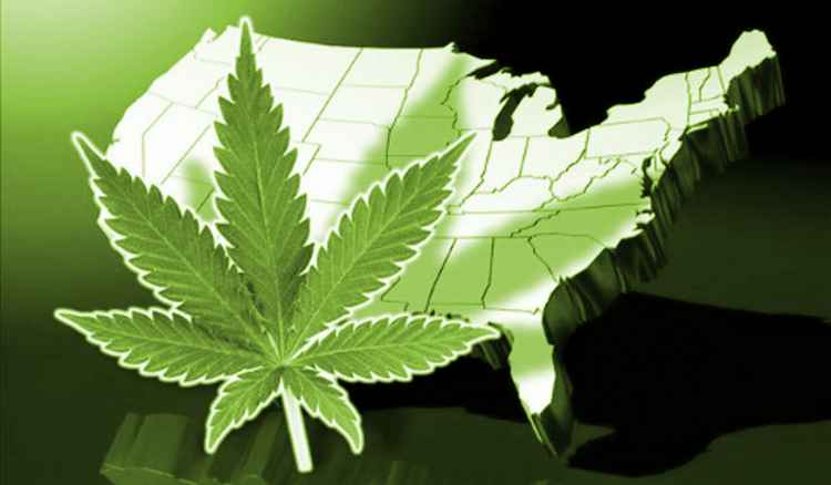 Ponad połowa Amerykanów popiera legalizację marihuany