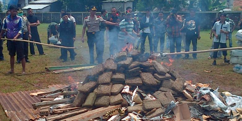 indonezja publicznie spala 3 tony przejętej z ulicy marihuany
