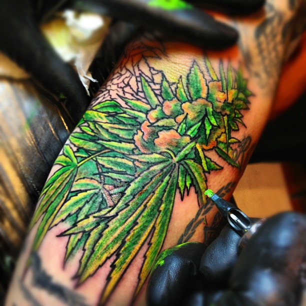 tatuaz-z-marihuana