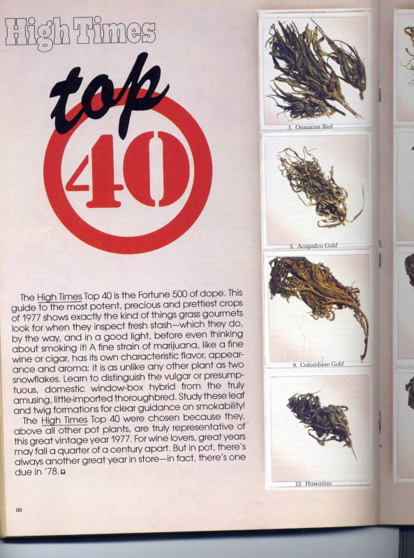 top-40-odmian-marihuany-z-1997 roku