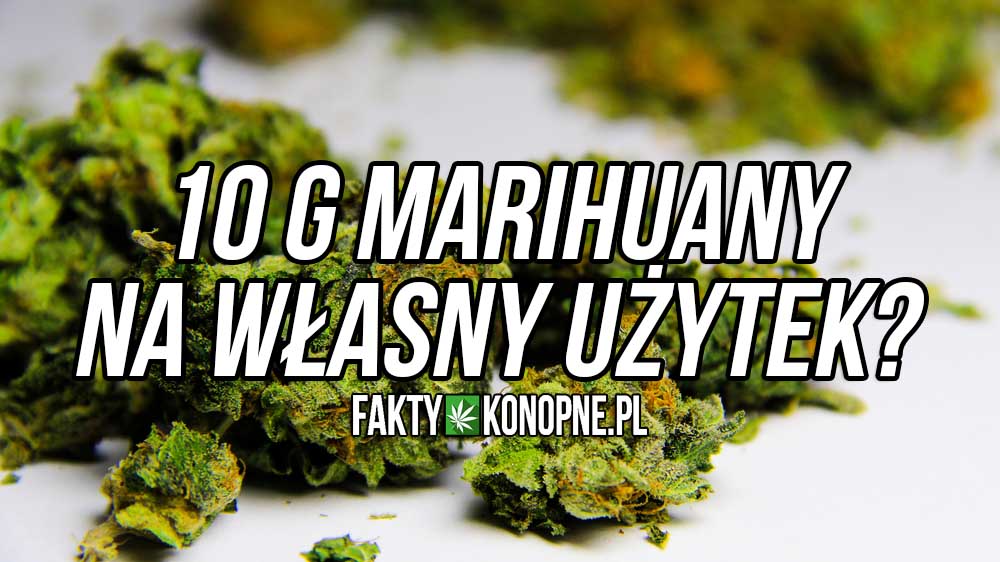 10-gram-marihuany-na-wlasny-uzytek