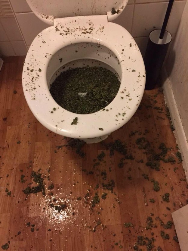 marihuana-spuszczona-w-kiblu-wc-toalecie