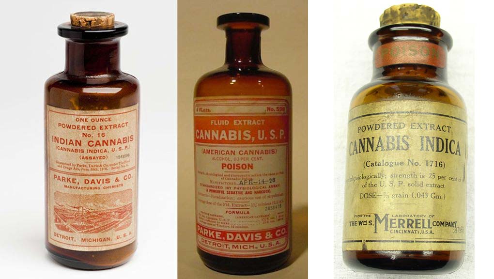 Medyczna marihuana z XIX i XX wieku