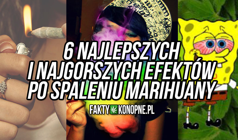 6-typow-haju-faz-efektow-po-spaleniu-marihuany