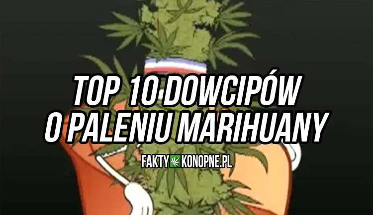 Top-10-dowcipow-o-paleniu-marihuany