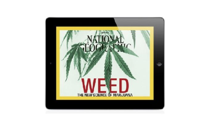 national-geographic-marihuana