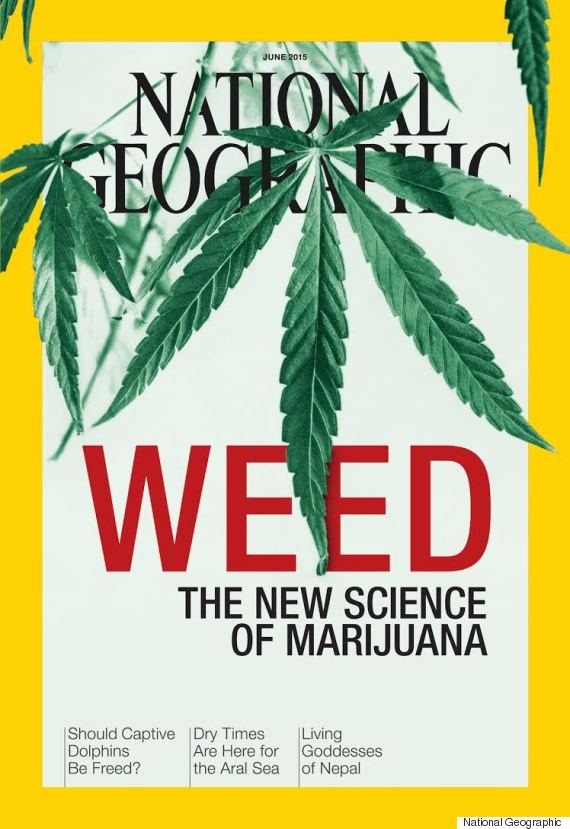 National Geographic - artykuł o marihuanie