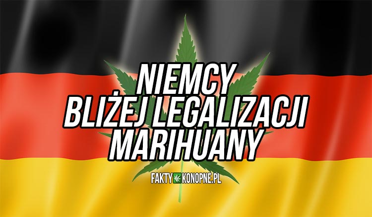 niemcy-legalizacja-marihuany