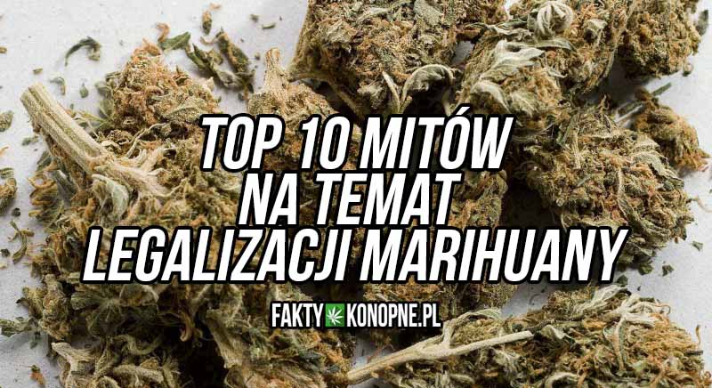top-10-mitow-na-temat-legalizacji-marihuany