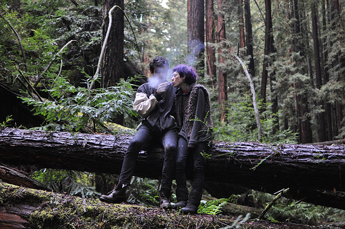 hippies-smoking-pot-in-redwoods