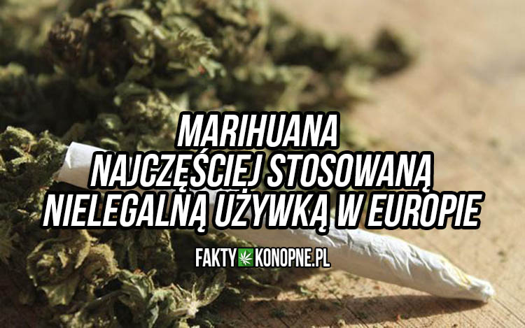 marihuana najczesciej uzywana w europie