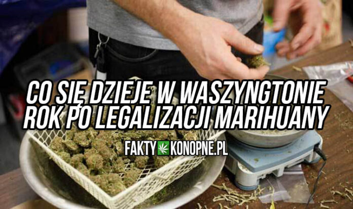 waszyngton-sprzedaz-marihuany-rok-po-legalizacji