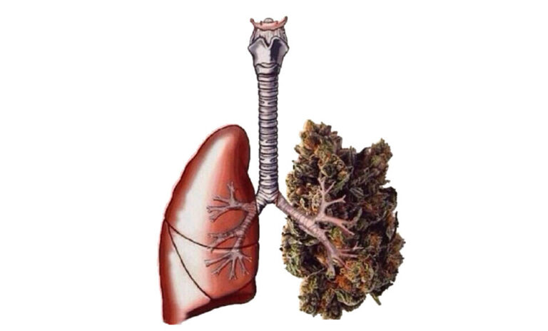 Pozytywny wpływ marihuany na płuca