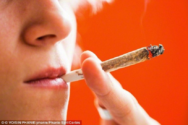 wplyw palenia marihuany przez mlodziez
