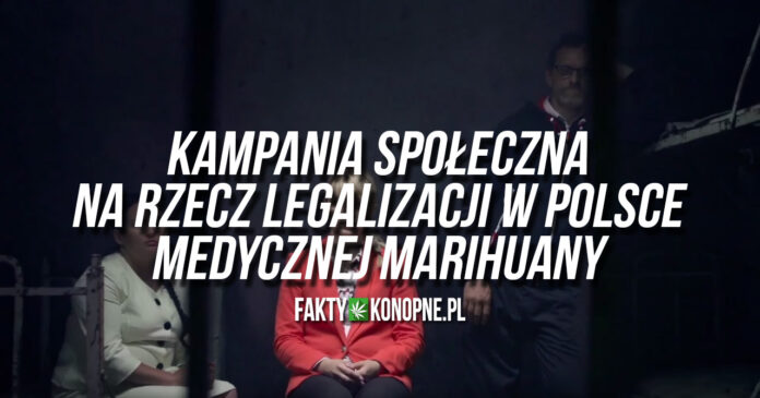 Kampania społeczna na rzecz legalizacji w Polsce medycznej marihuany