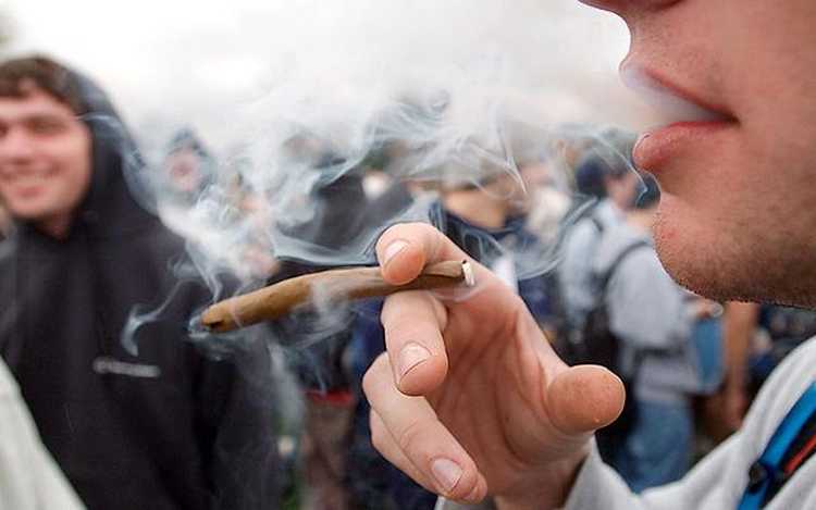 waszyngton legalizacja marihuany nie zwiekszyla uzycia wsrod mlodziezy