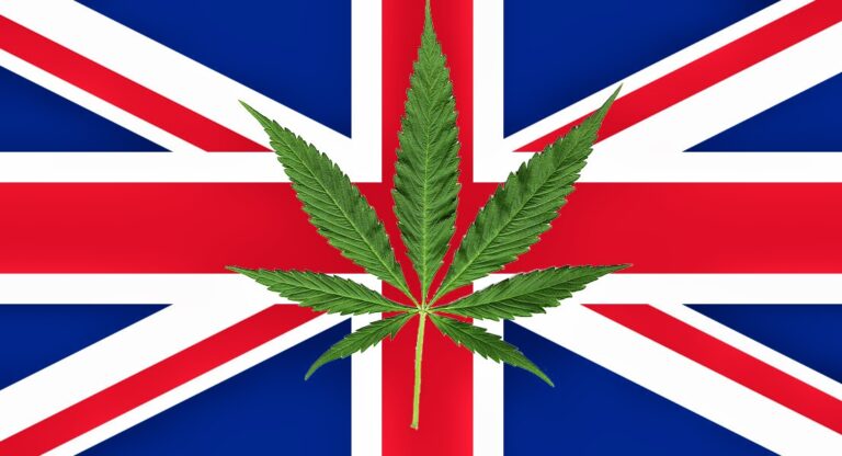 Legalna marihuana w UK – i wszyscy są zadowoleni