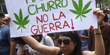 Legalizacja marihuany w meksyku
