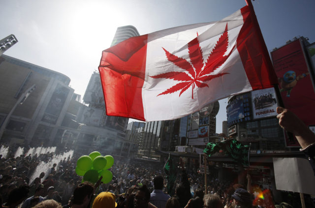 legalizacja marihuany w kanadzie