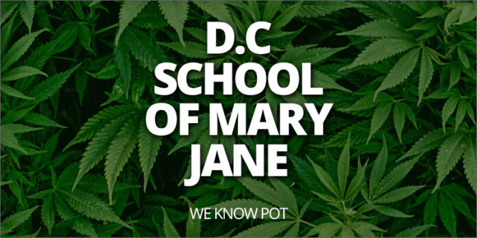 DC school of mary jane uczy ludzi jak palić marihuanę