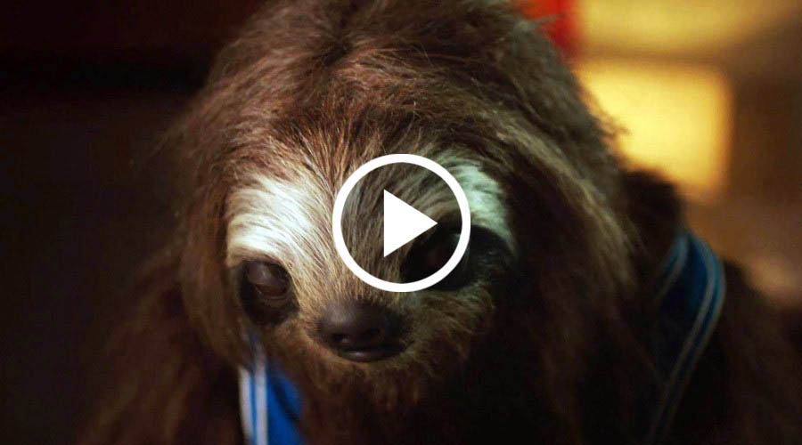 stoner-sloth-zjarany-leniwiec-kampania