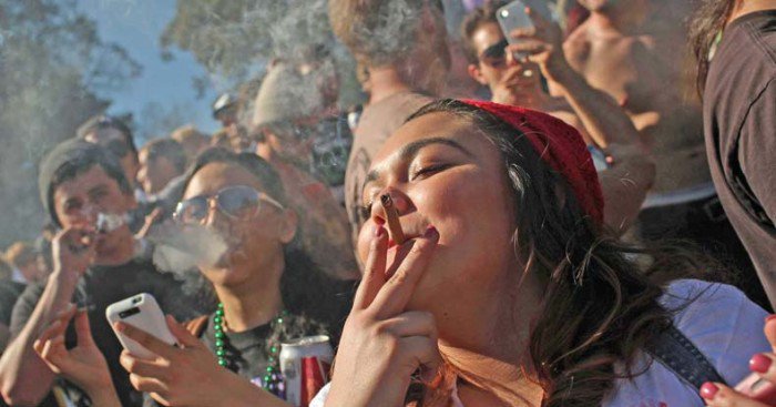 Statystyki w Kolorado 2 lata po legalizacji marihuany