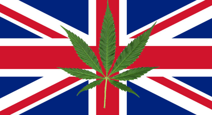 wielka Brytania marihuana