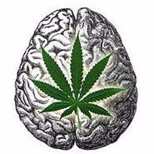 Osoby z wysokim IQ częściej używają marihuany